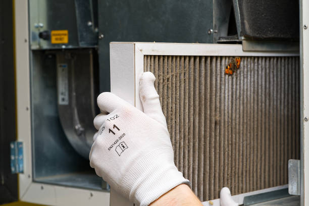 Best Air Duct Cleaning Company Near Me  in Tangelo Park, FL
