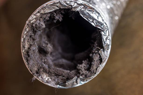 Best HVAC System Cleaning  in Tangelo Park, FL