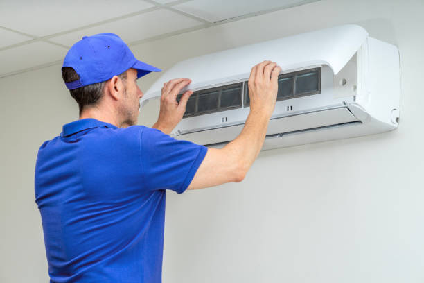Best Air Duct Sanitizing Services  in Tangelo Park, FL